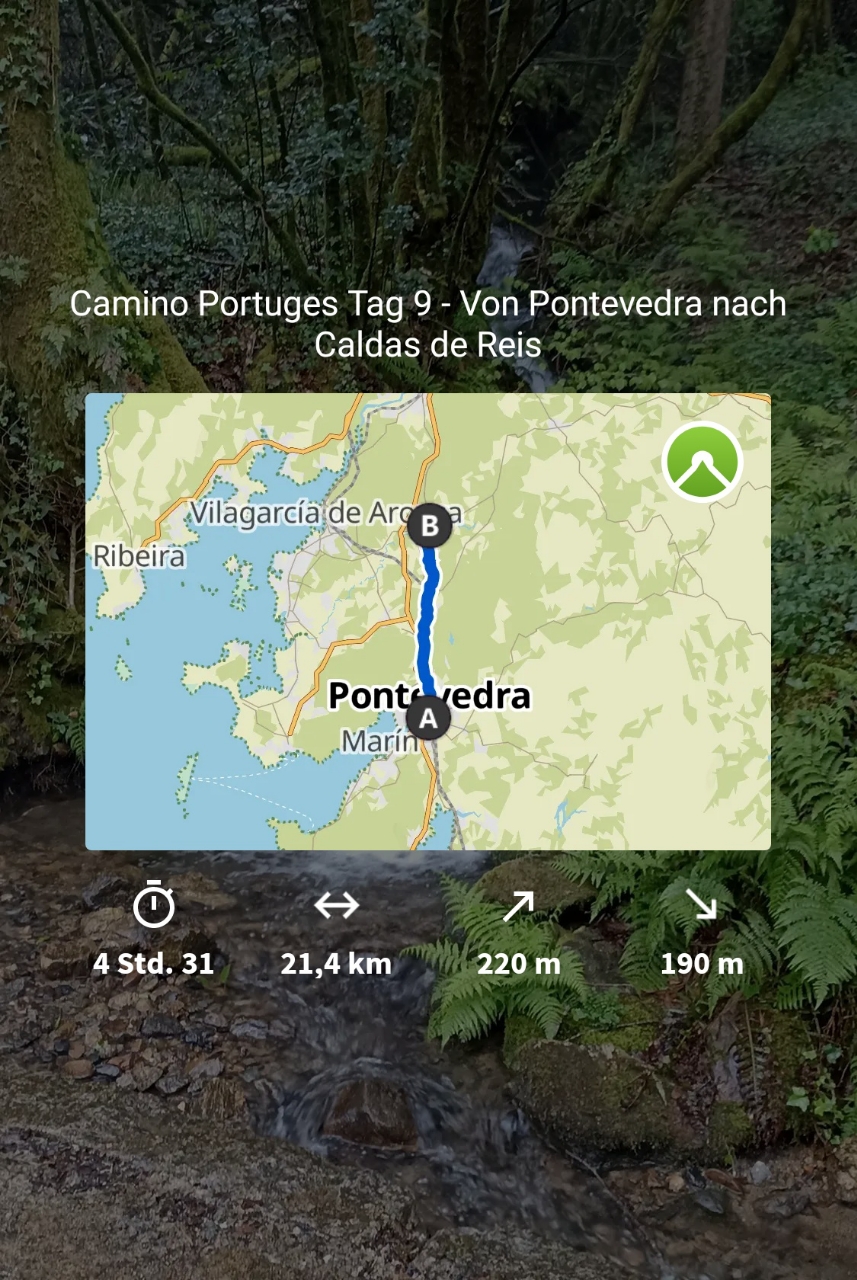 Route Tag 8